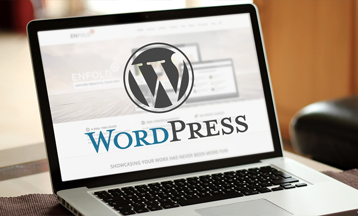 Custom WordPress Development